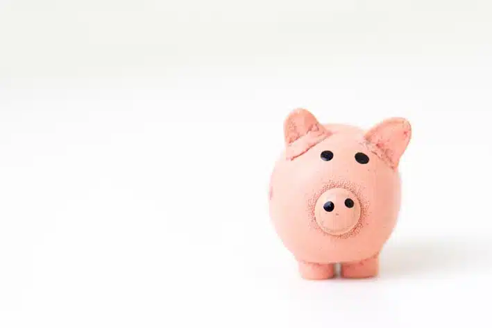 cerdito ahorro
