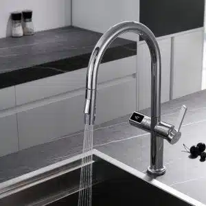 Grifo Turín