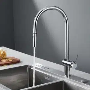 Grifo Berna.