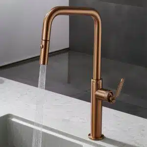 Grifo Niza.